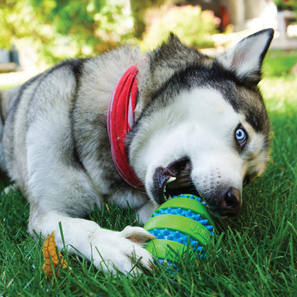 Kong Squeez Goomz Ball xL