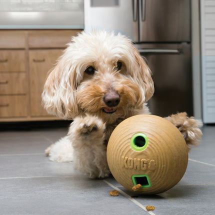 Kong Feeder Ball Bamboo Medium