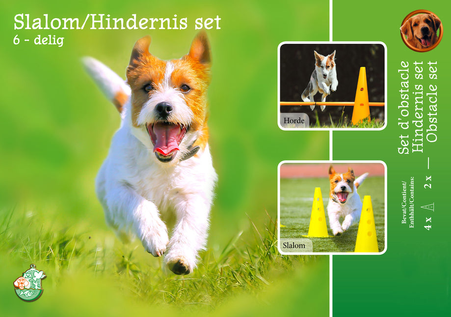 Agility Slalom En Hindernisset 4Xpylon