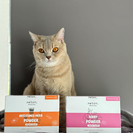 Peton - Vitaminepoeder Bessen Urinesupport Kat/Hond