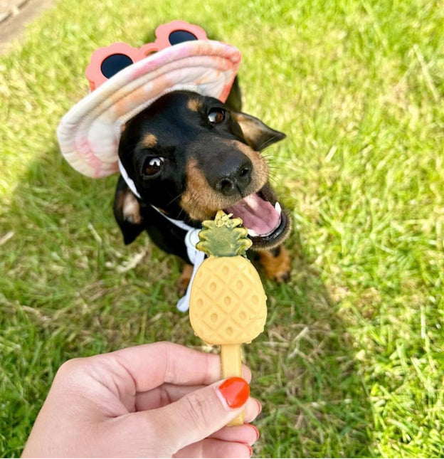 AnimalstoreXL Pup ice - Hondenijsjes 🍦