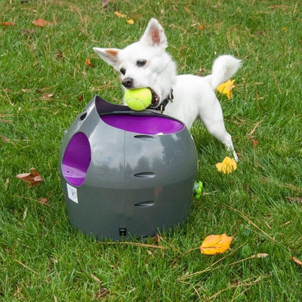 Petsafe Automatic Ball Launcher