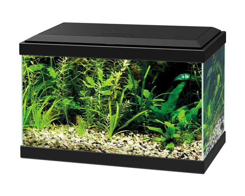 Aqua 20 LED Zwart