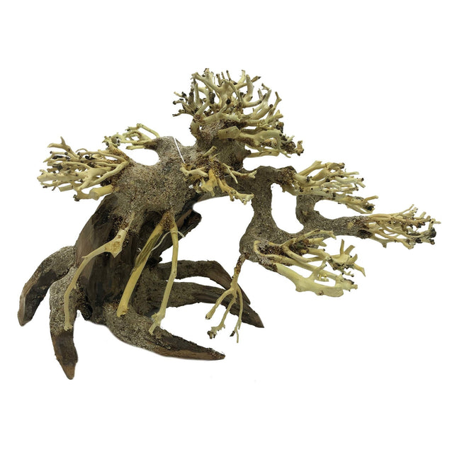 Bonsai Driftwood S