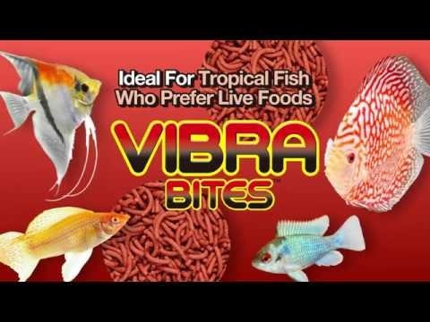 Vibra Bites 73 gram