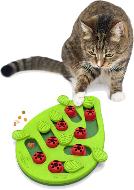 Kattenspel Puzzle & Play Buggin Out