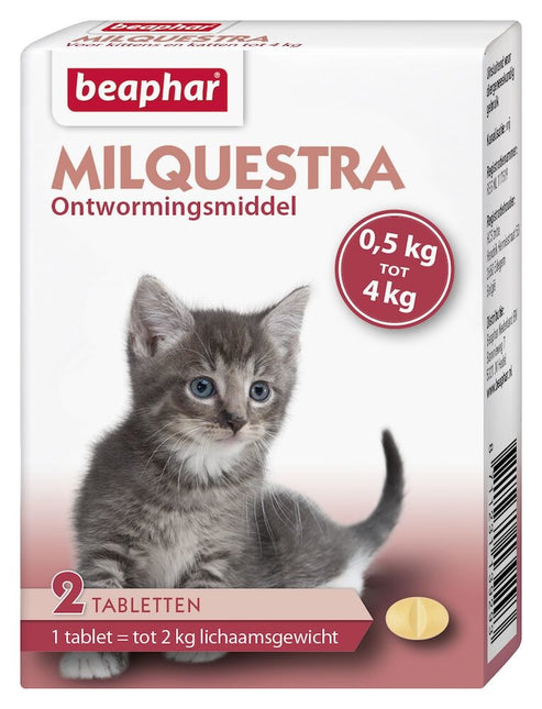 Milquestra Kat Kitten 0,5-4kg