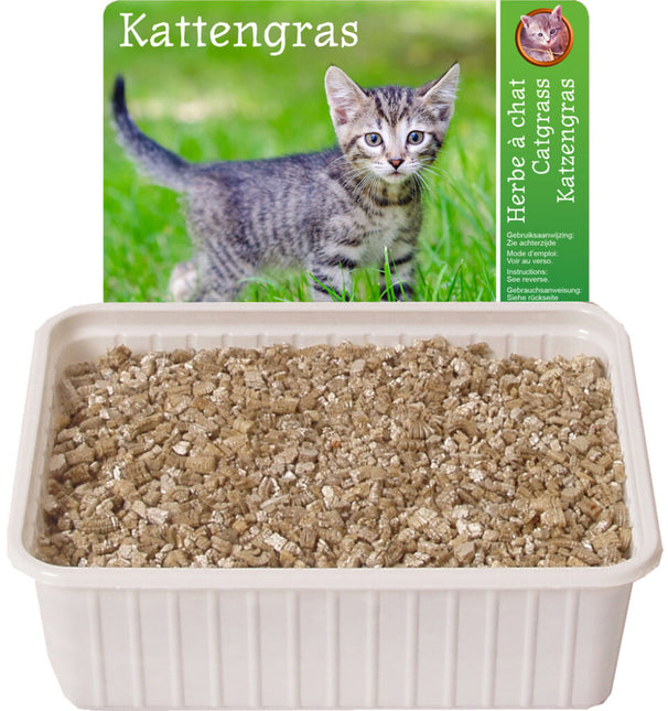 Kattengras