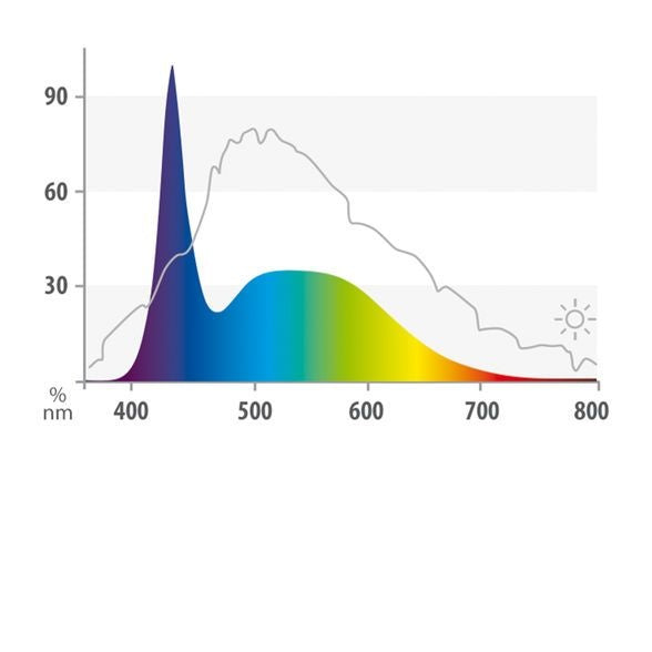 Multilux LED Buis Day Lite