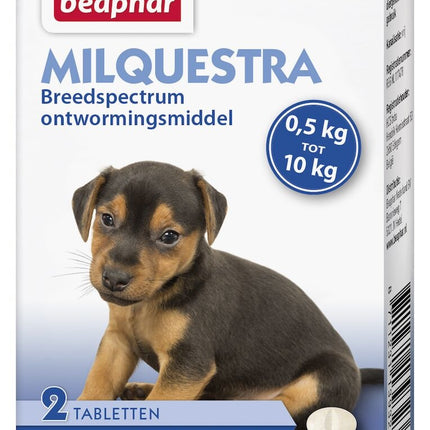 Milquestra Hond Pup 0,5-10kg