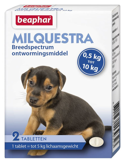 Milquestra Hond Pup 0,5-10kg