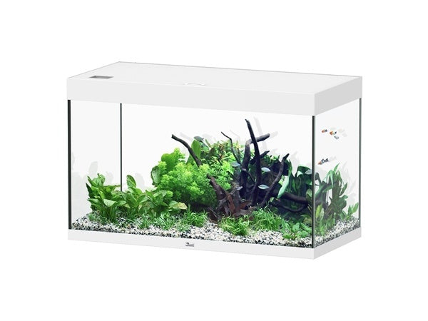 Sublime 100x50 aquarium