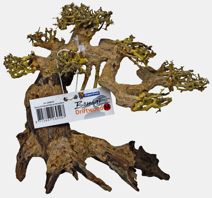 Bonsai Driftwood M