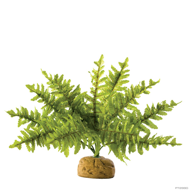 Kunstplant Boston Fern S