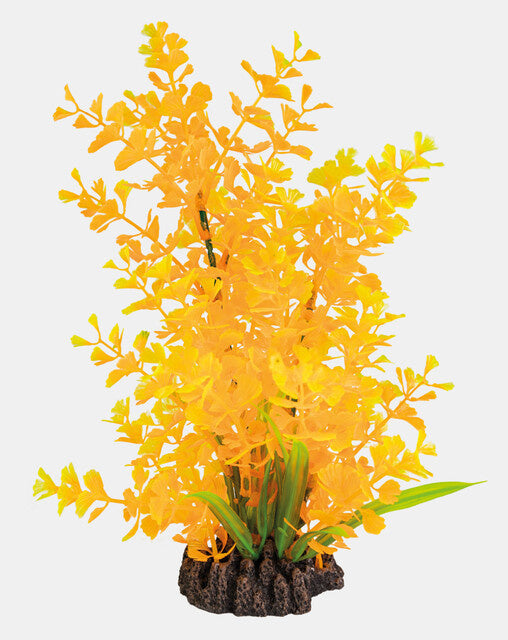 Art Plant 25cm Ludwigia Orange