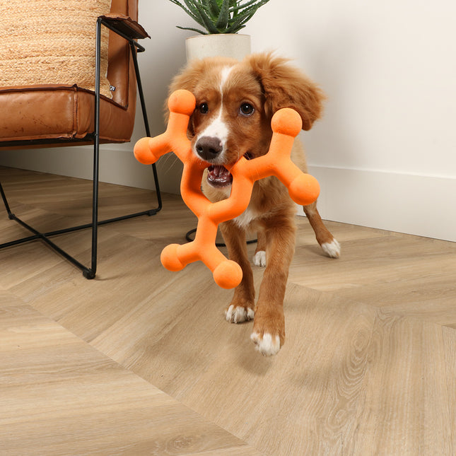 Dawg Science Hondenspeeltje M Oranje