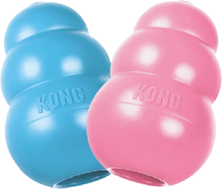 AnimalstoreXL Kong Puppy Medium