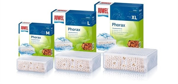 PHORAX BIOFLOW 6.0/STANDAARD