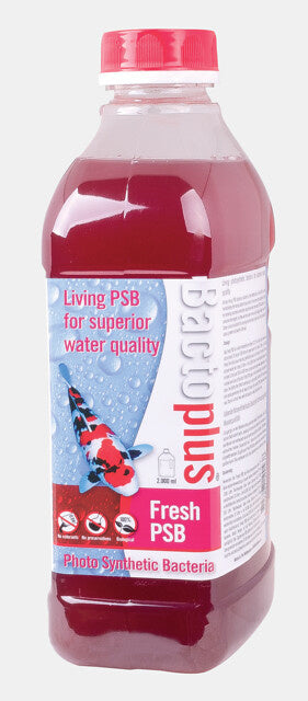 Fresh PSB 2000ml