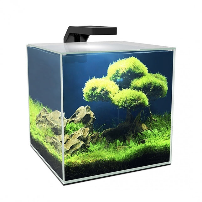 Aquarium cube 10 LED CF20