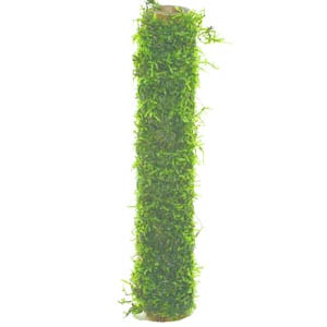 Bamboo stok met Javamos XL 30cm