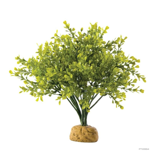 Kunstplant Buxus