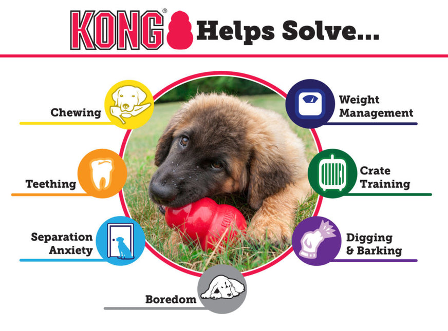 AnimalstoreXL Kong Puppy Medium