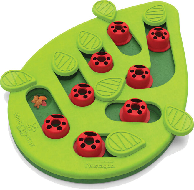 Kattenspel Puzzle & Play Buggin Out