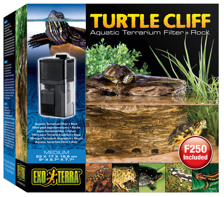 Turtle Cliff Middelgroot Met Filter Pt3610