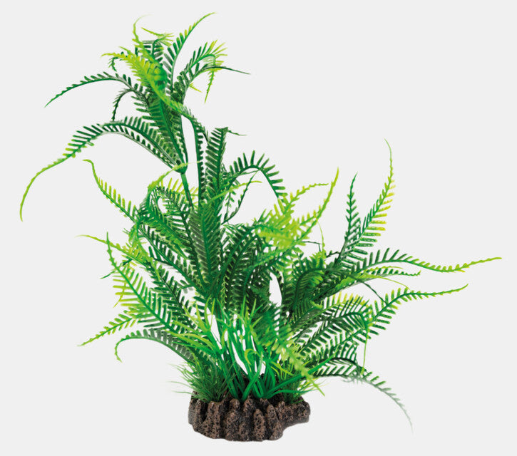 Art Plant 25cm Microsorum