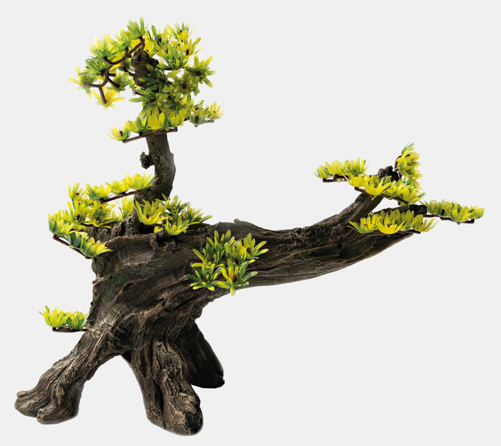 Deco Bonsai L