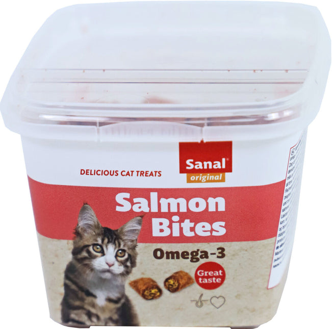 Bites Salmon Cup 75g