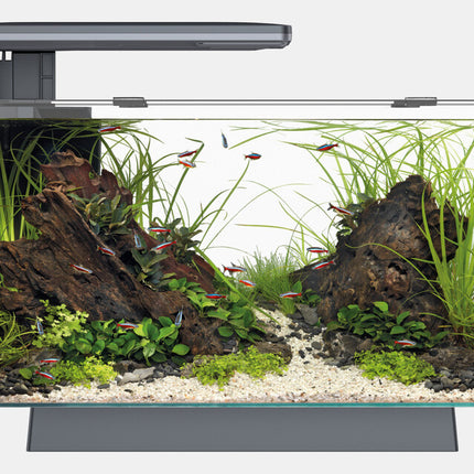 Aquarium Quadro 70 Pro Zwart