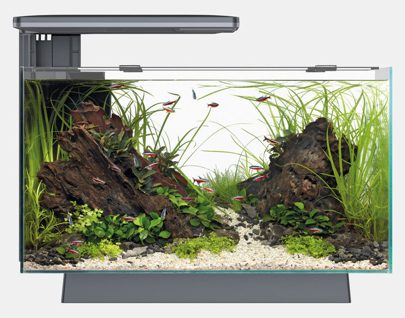 AnimalstoreXL Aquarium Quadro 70 Pro Zwart